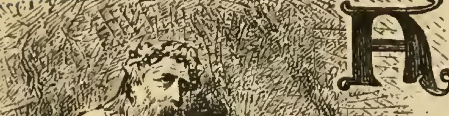 1875-09: “History of England” includes Many Farny Sketches