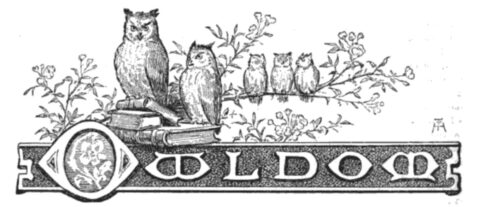 1878-01: Golden Hours’ Owldom Illustrations