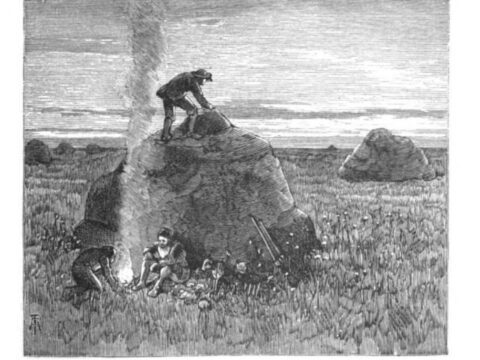 1878: “An Elementary Geology” Illustrations