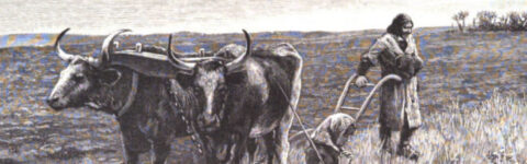 1889-03: Dakota’s Salt Lake