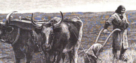 1889-03: Dakota’s Salt Lake